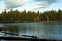 IMG_2616.jpg